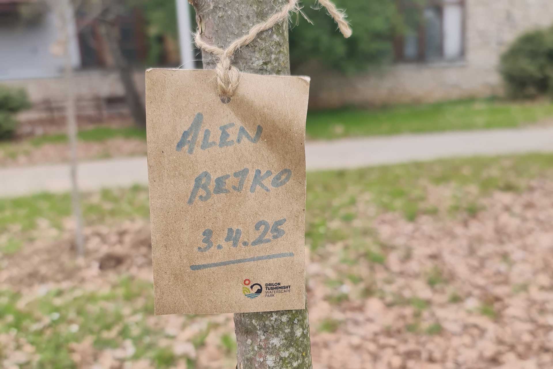 alen