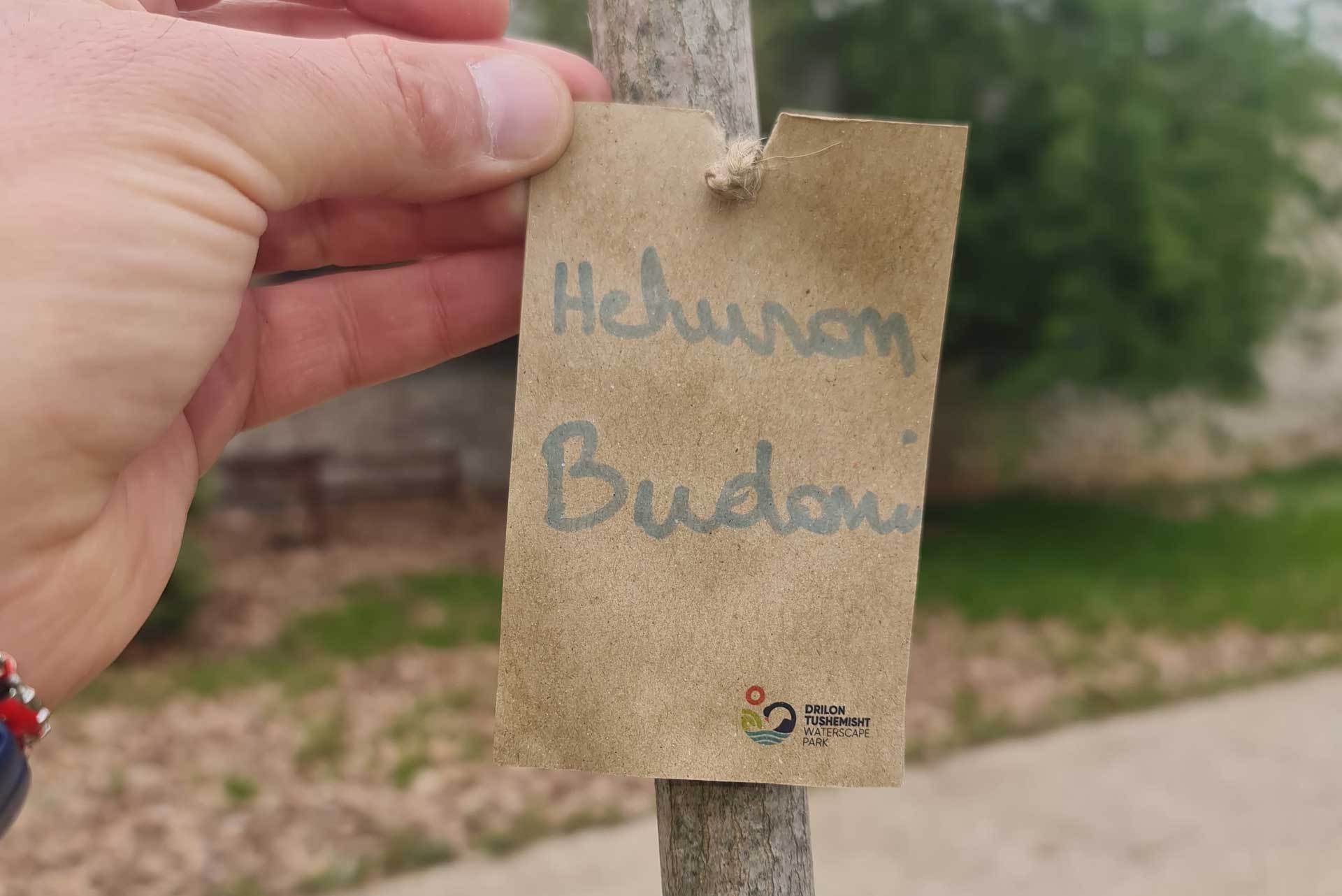 hekuran
