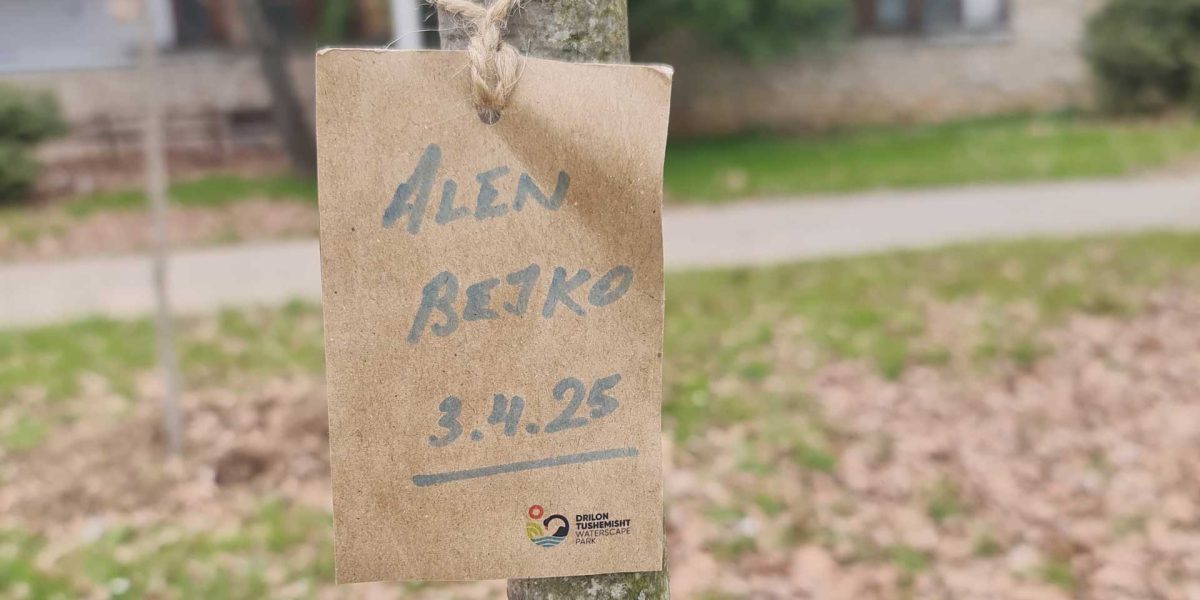 alen