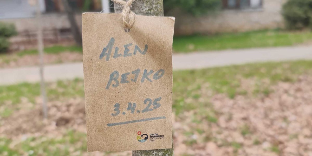 alen