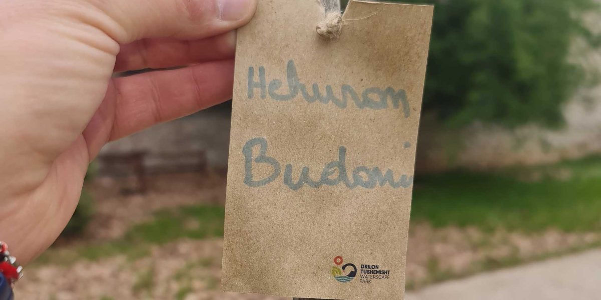hekuran
